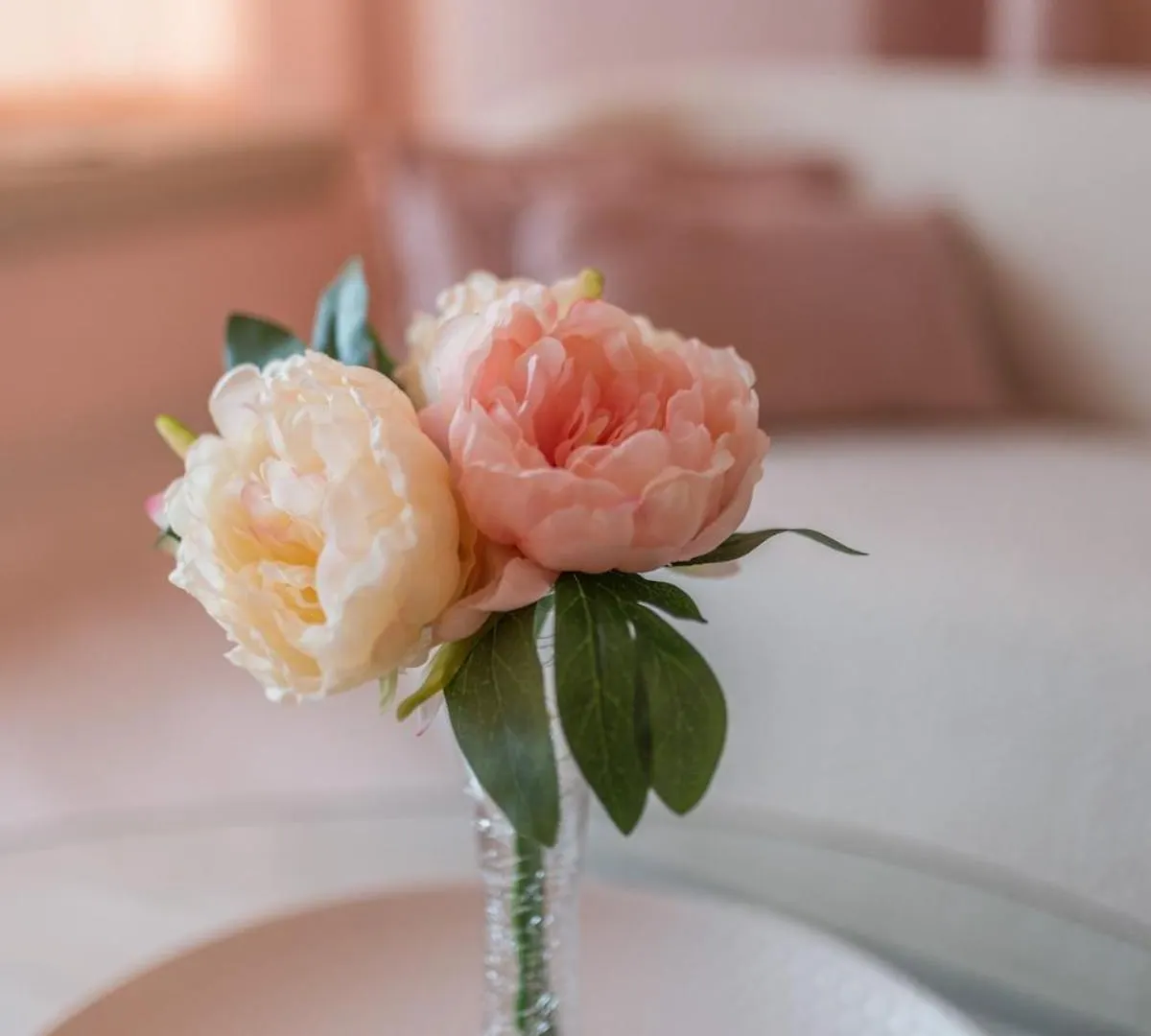 Apartment Le Boudoir Iconic 4 Guests Cannes